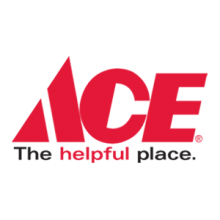 ACE硬件徽标