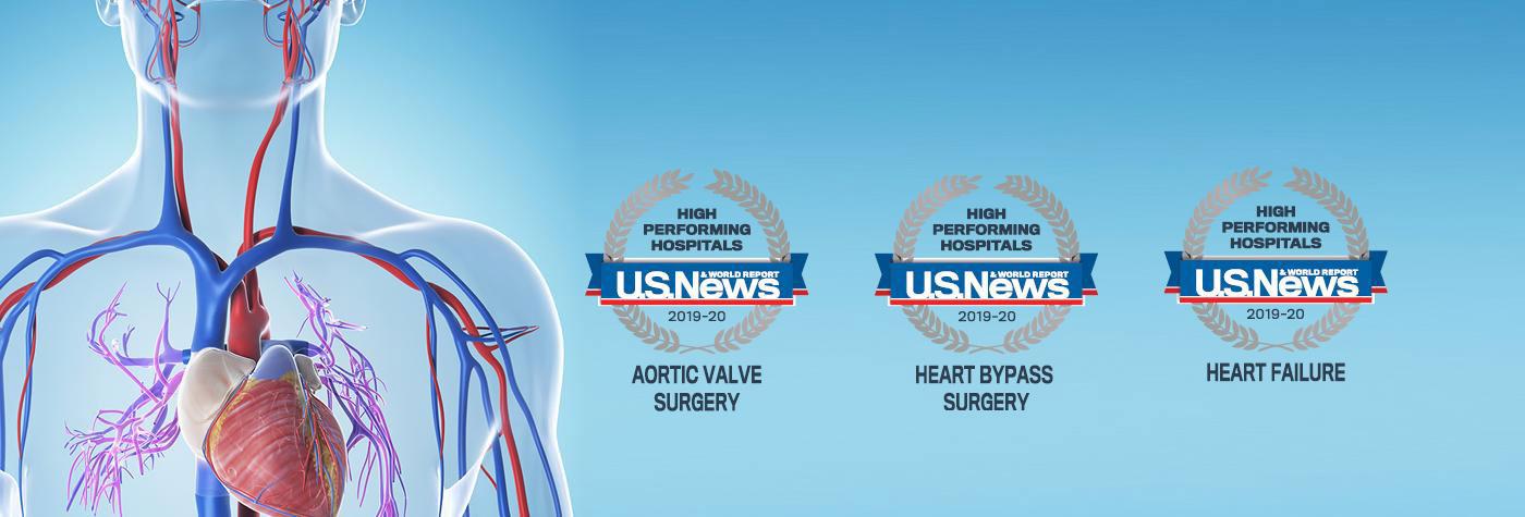 心脏和周围血管的图示;《美国新闻与世界报道》授予在主动脉瓣手术、心脏搭桥手术和心力衰竭方面表现出色的医院奖章。